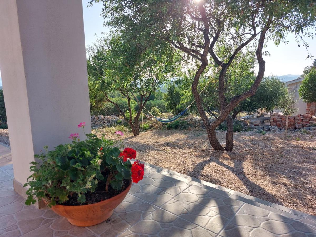 Vila Olive Garden House Šibenik Exteriér fotografie
